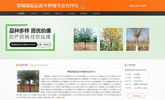 案例图片